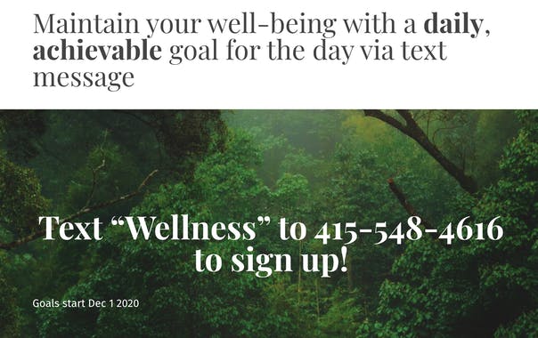 The Daily Wellness