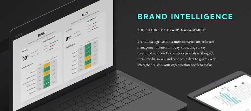 Brand Intelligence