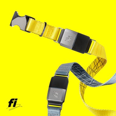 Fi Smart Dog Collar