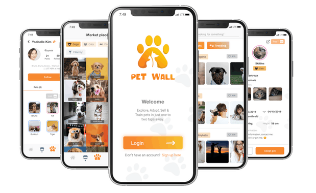 Pet Wall