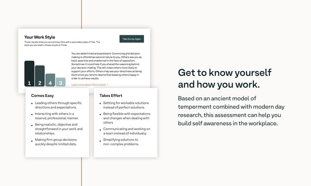 Work Styles 360 by Teal