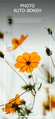 ProStyle Camera by NeuralCam