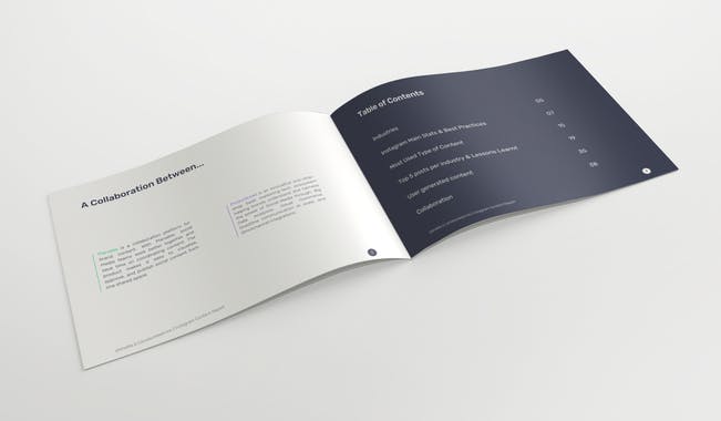 Instagram 2019 Content Spotlight