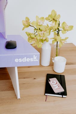 esdesk
