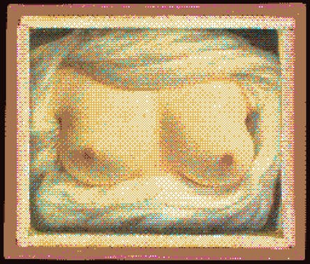 The Volks NFT Art Gallery