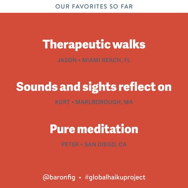 Haiku Project by Baronfig