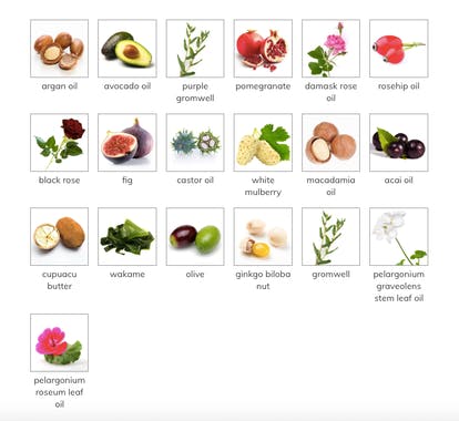 Damask Rose Night Cream