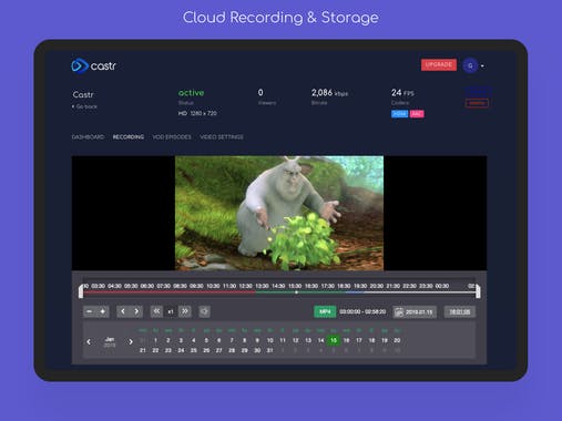 Castr Live Streaming