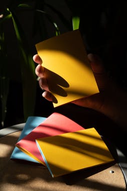 Weird Looks Notebooks