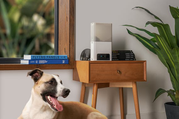 Petcube Bites 2 Lite