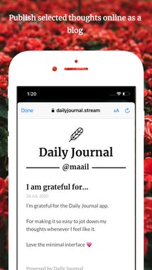 Daily Journal