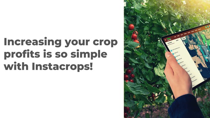 Instacrops