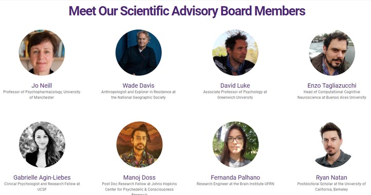 Psychedelic Experience